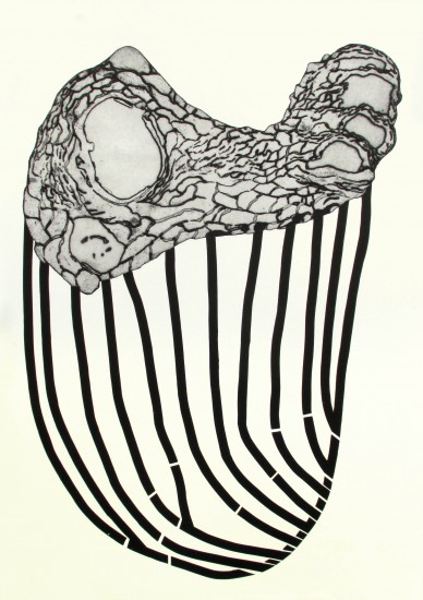 Naturelat X | odprysk, szablon | 66x96cm